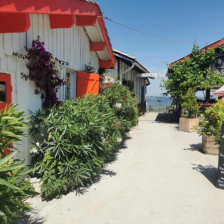 Villa Aitama Lège-Cap-Ferret Dış mekan fotoğraf