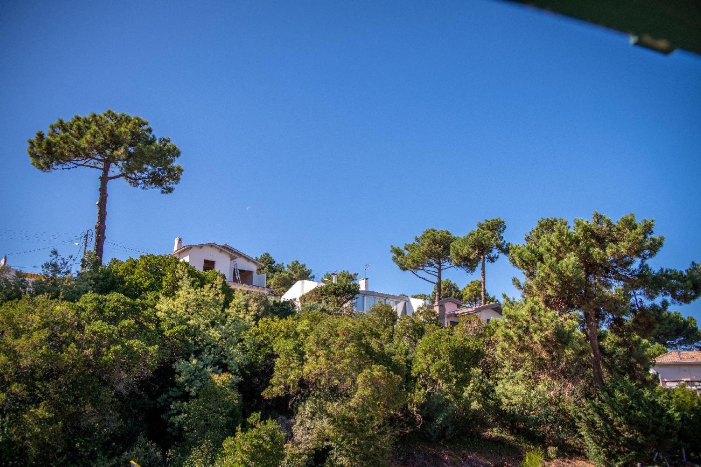 Villa Aitama Lège-Cap-Ferret Dış mekan fotoğraf