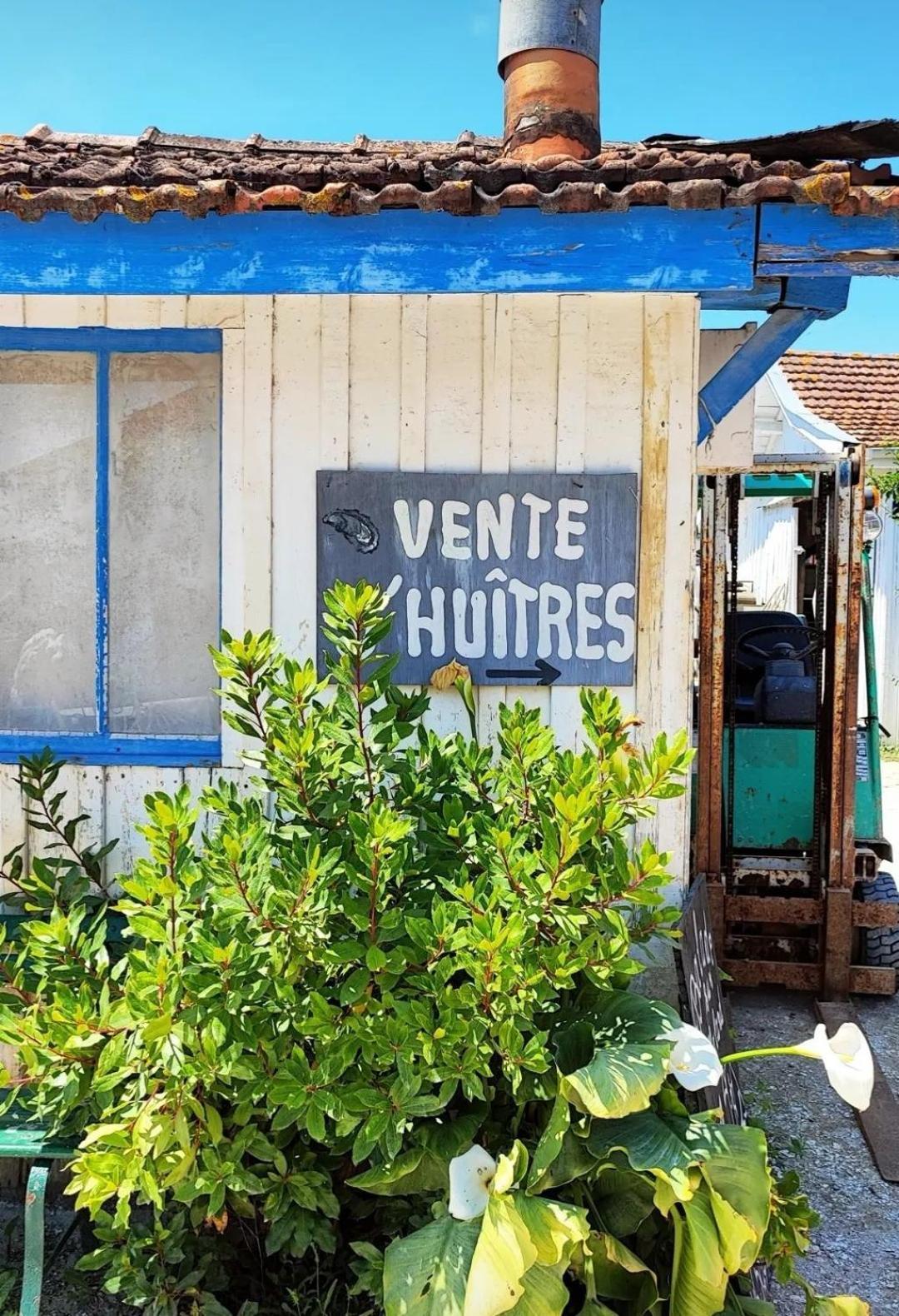 Villa Aitama Lège-Cap-Ferret Dış mekan fotoğraf